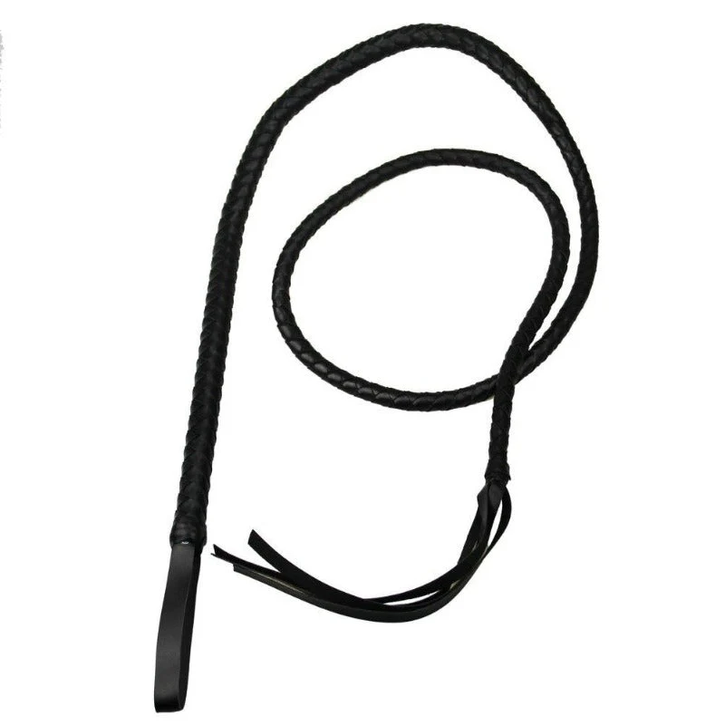 Bondagepeitsche - Image 2